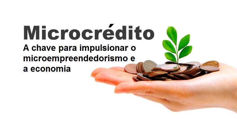 Microcrédito: a chave para impulsionar o microempreendedorismo e a economia