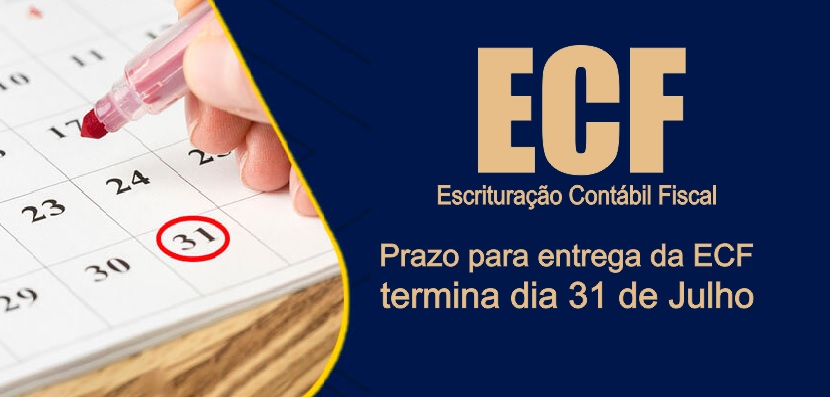 Prazo para entrega da ECF 2023 termina nesta segunda-feira (31)