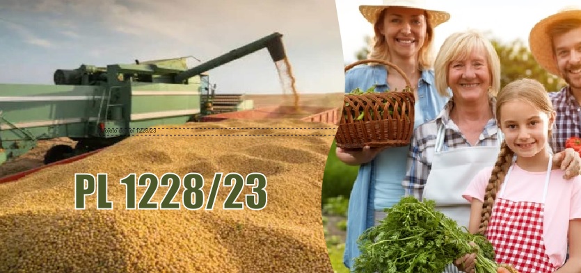 Projeto obriga distribuidoras a comprar crédito de energia da agricultura familiar