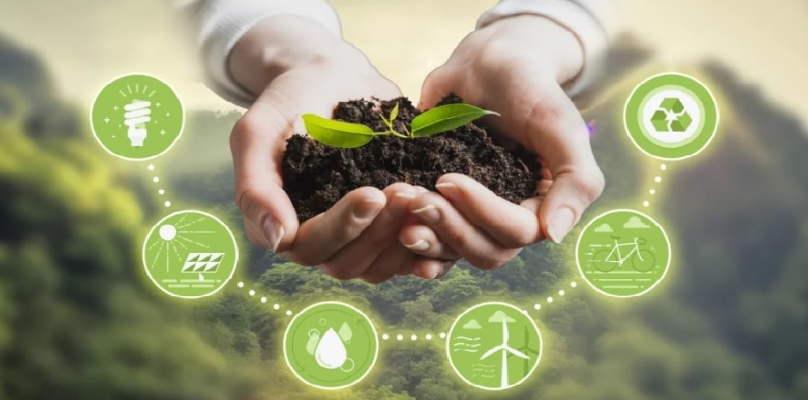 Brasil adotará normas internacionais de sustentabilidade a partir de 2024