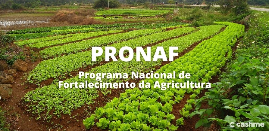 Governo divulga bônus de desconto no Pronaf para produtos da Agricultura Familiar