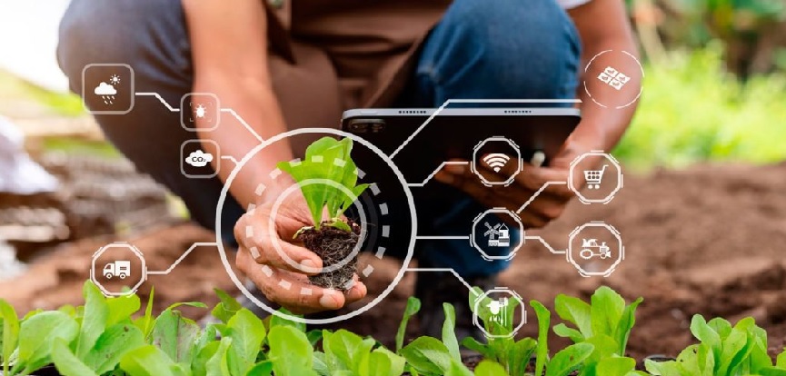 Comissão aprova PL que concede isenção tributária para startups do agronegócio