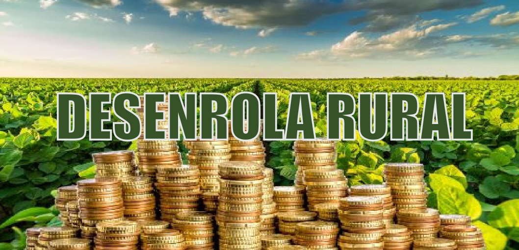 Desenrola Rural: Comissão aprova programa de renegociação de dívidas para agricultores