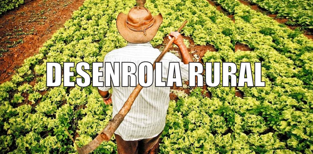 Desenrola Rural: agricultores familiares podem renegociar dívidas a partir desta segunda-feira (24)
