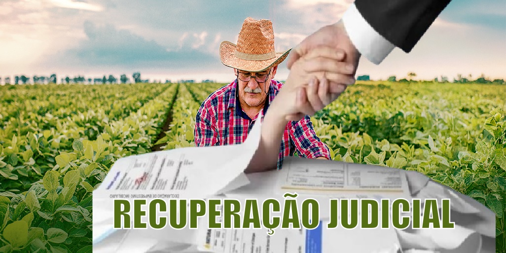 Pedidos de recuperação judicial de produtores rurais crescem 61% em um ano