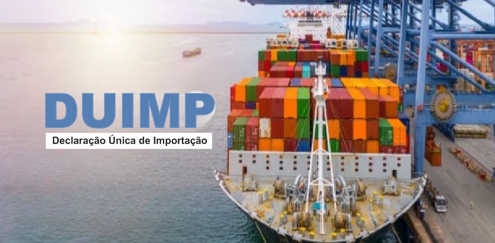 DUIMP: governo disponibiliza simulador para consulta do desligamento