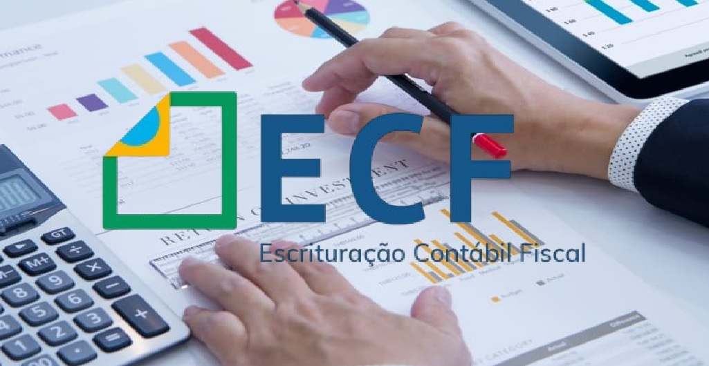 ECF 2026 já é em julho: veja quem deve entregar neste ano, prazo, dicas e mais